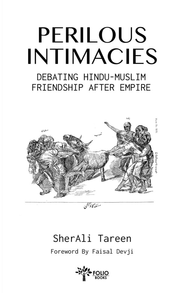 cover image for Perilous Intimacies